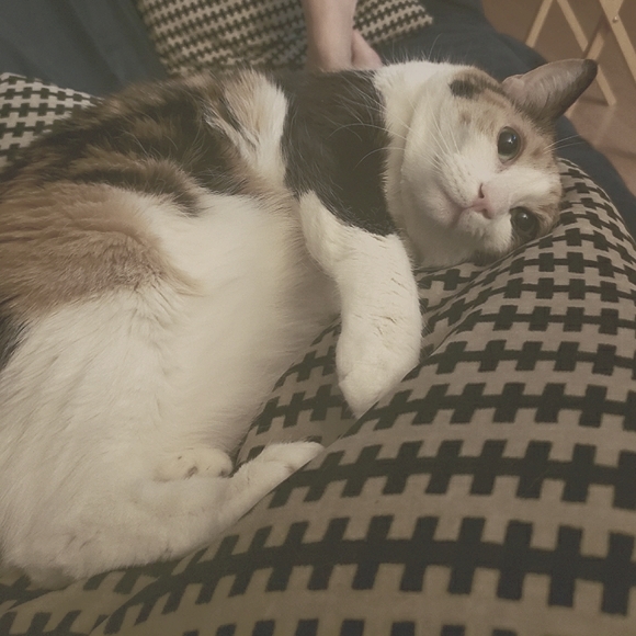 Meet your Posher, Jonna - Picture 2 of 2